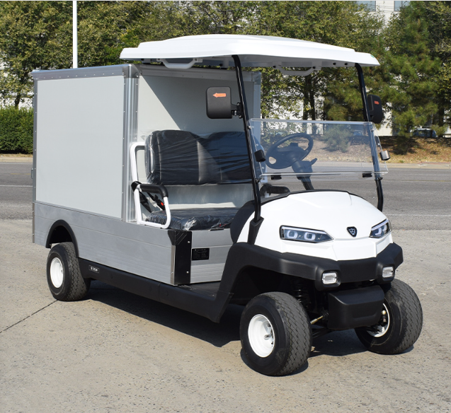ZYCAR ZH05 0.5 ton electric truck with cargo box 48V/5kw