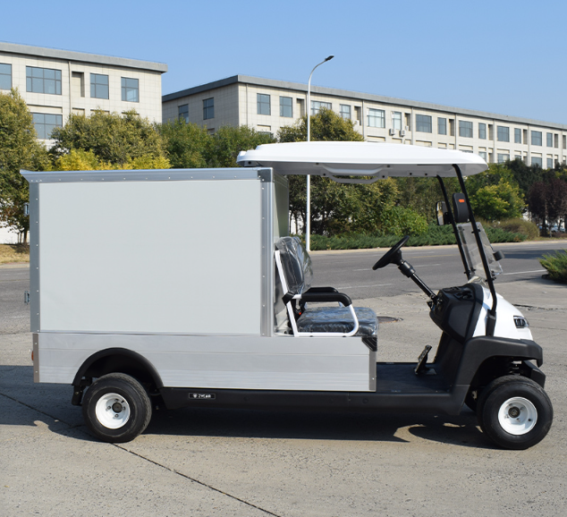 ZYCAR ZH05 0.5 ton electric truck with cargo box 48V/5kw