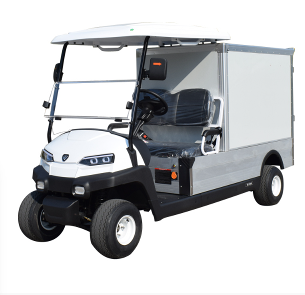 ZYCAR ZH05 0.5 ton electric truck with cargo box 48V/5kw