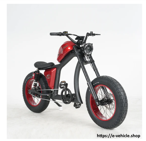 FT02 1000W Motor 48V 20AH Battery Max Speed 45km/h COC