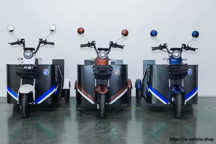 Assistive Open Body Electric Tricycle 48V 1000W motor