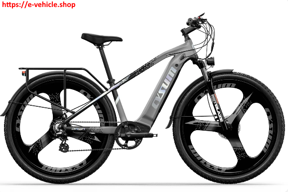 CYSUM aluminum electric city bike - 29 inch magnesium wheel, 500 watt, 40 km/h