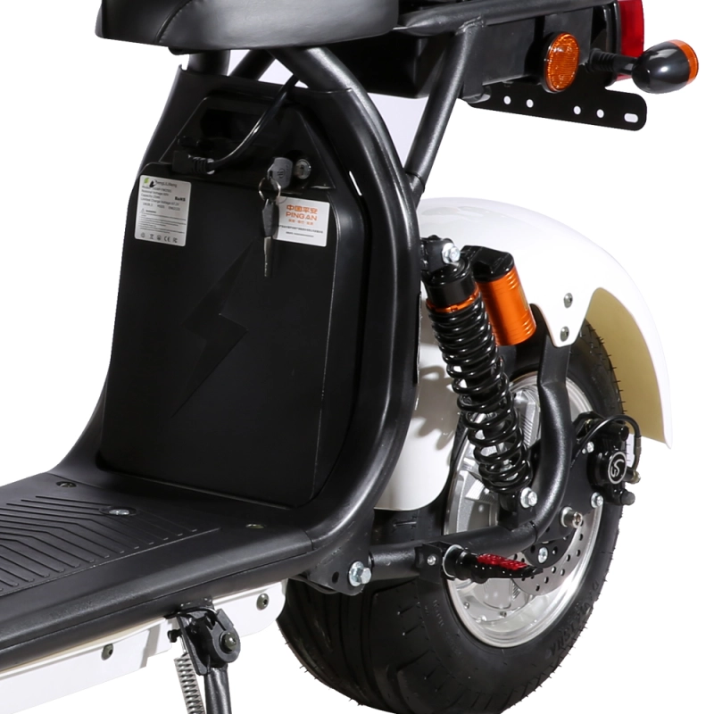 DOGEBOS SC11 E-Scooter 1500W 60v-40ah Double Seat