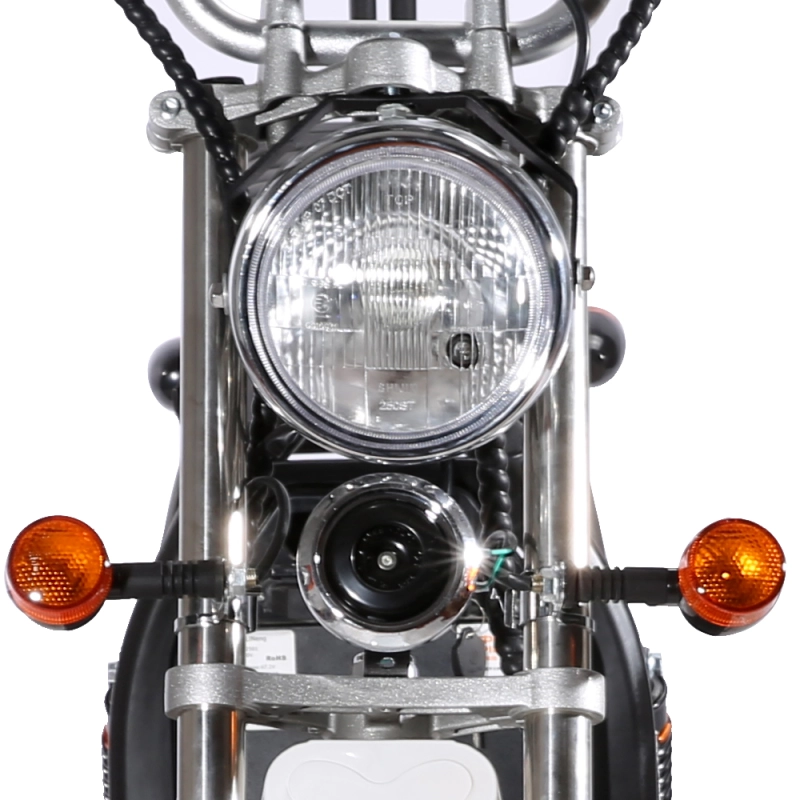 DOGEBOS SC11 E-Scooter 1500W 60v-40ah Double Seat