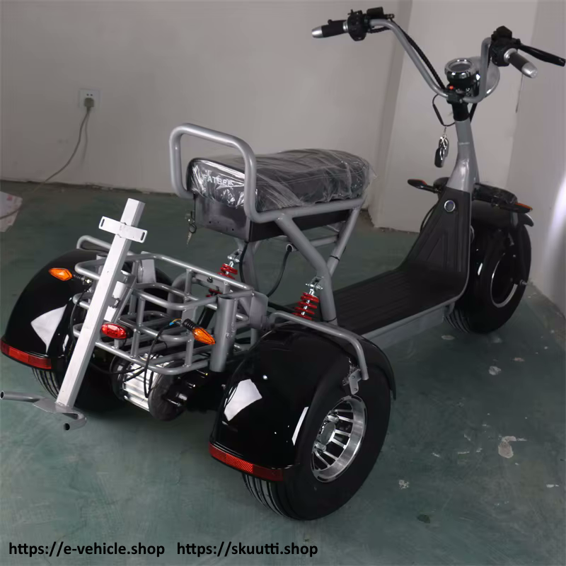 DOGEBOS SC09 (CP-3) E-Scooter 2000W 60V 40ah Tire:10"inch