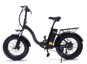DriveTron EB10 Electric Bike 750W 48V 13Ah 20"4.0 Fat tires 