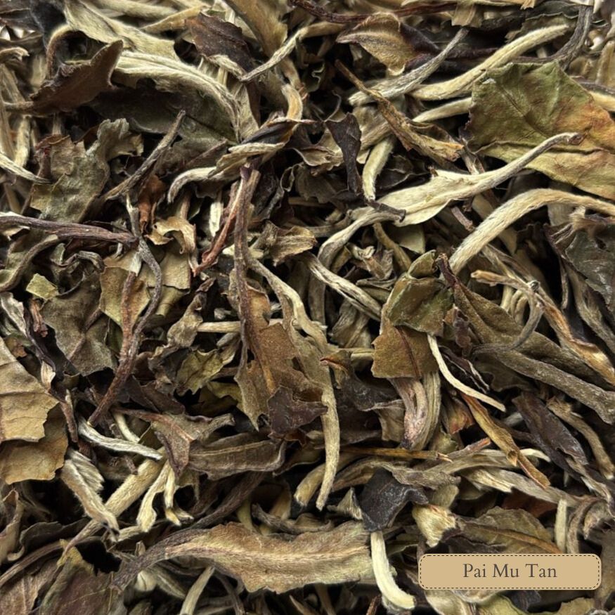 Pai Mu Tan