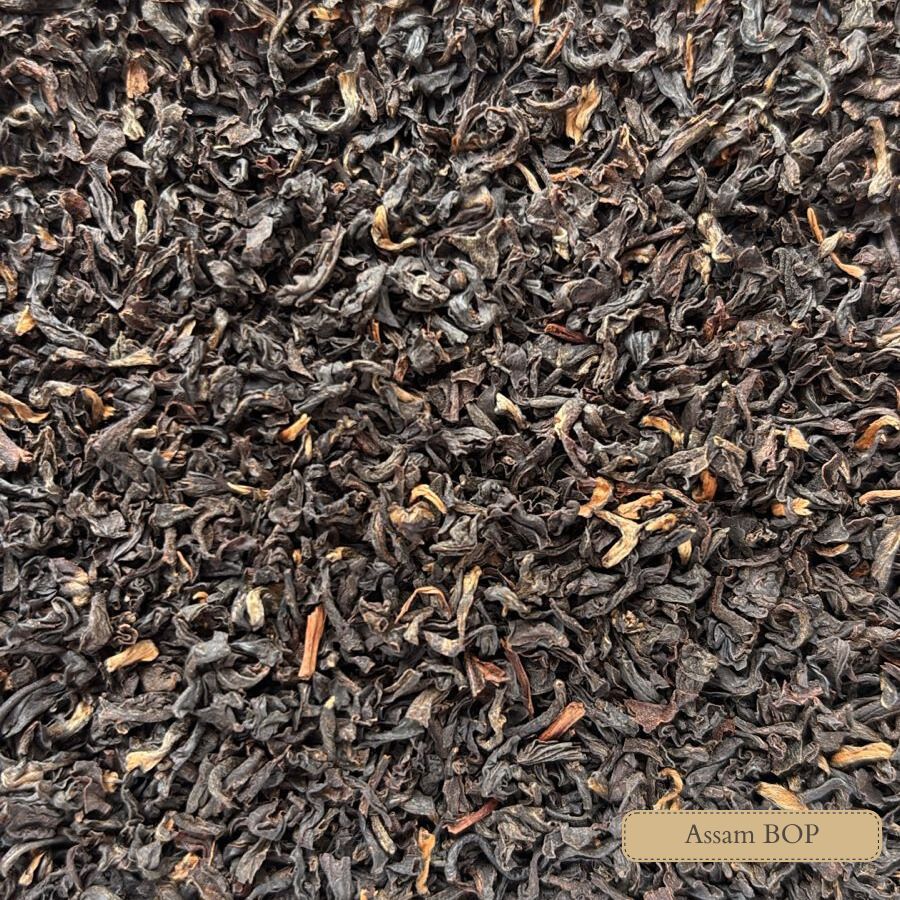 Assam BOP