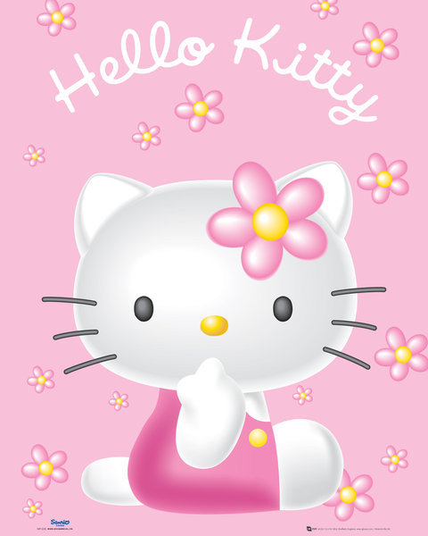 Mini libro Hello kitty