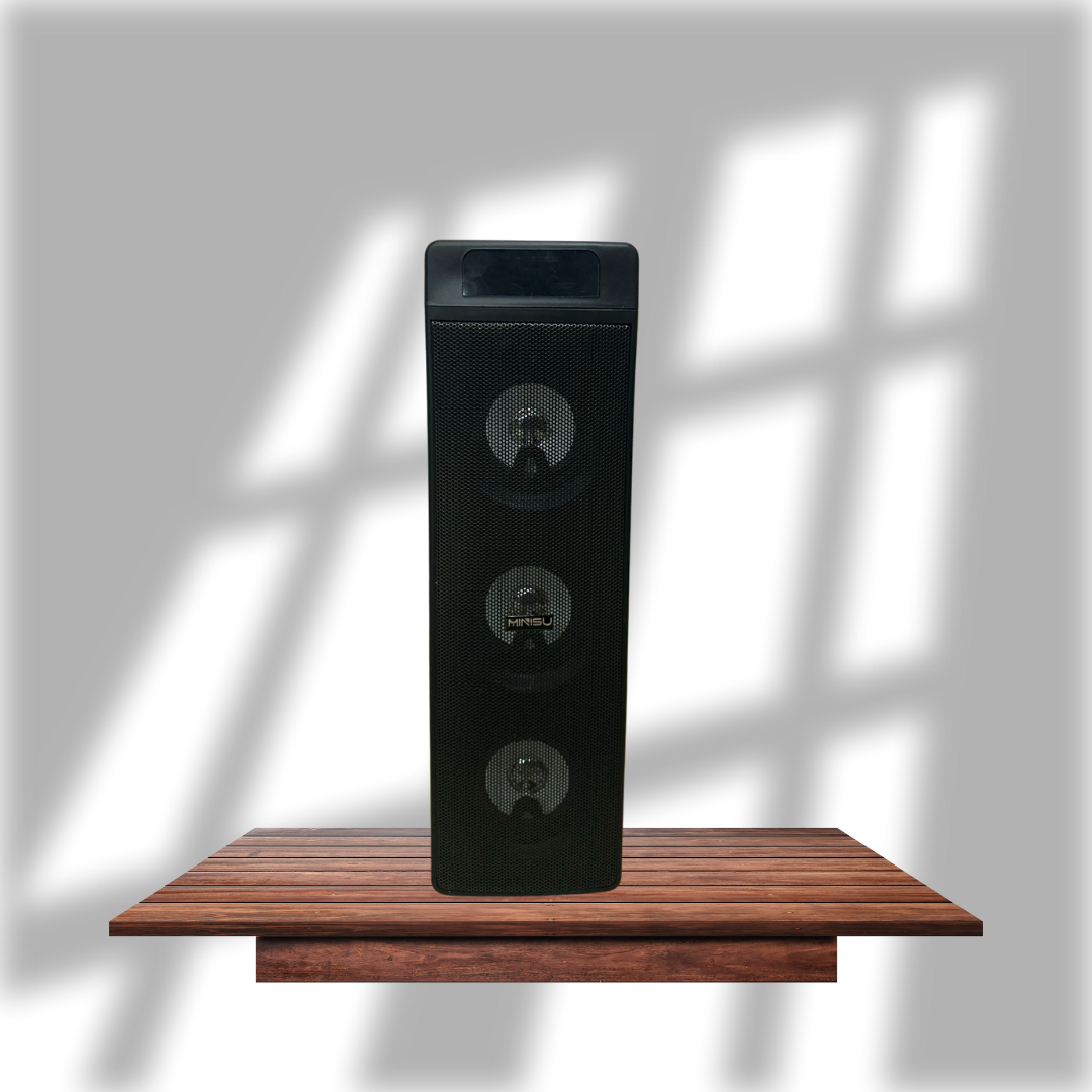 Party Bluetooth  Karaoke Speaker