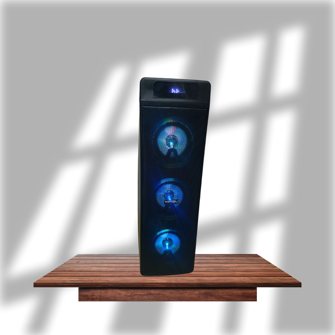 Party Bluetooth  Karaoke Speaker