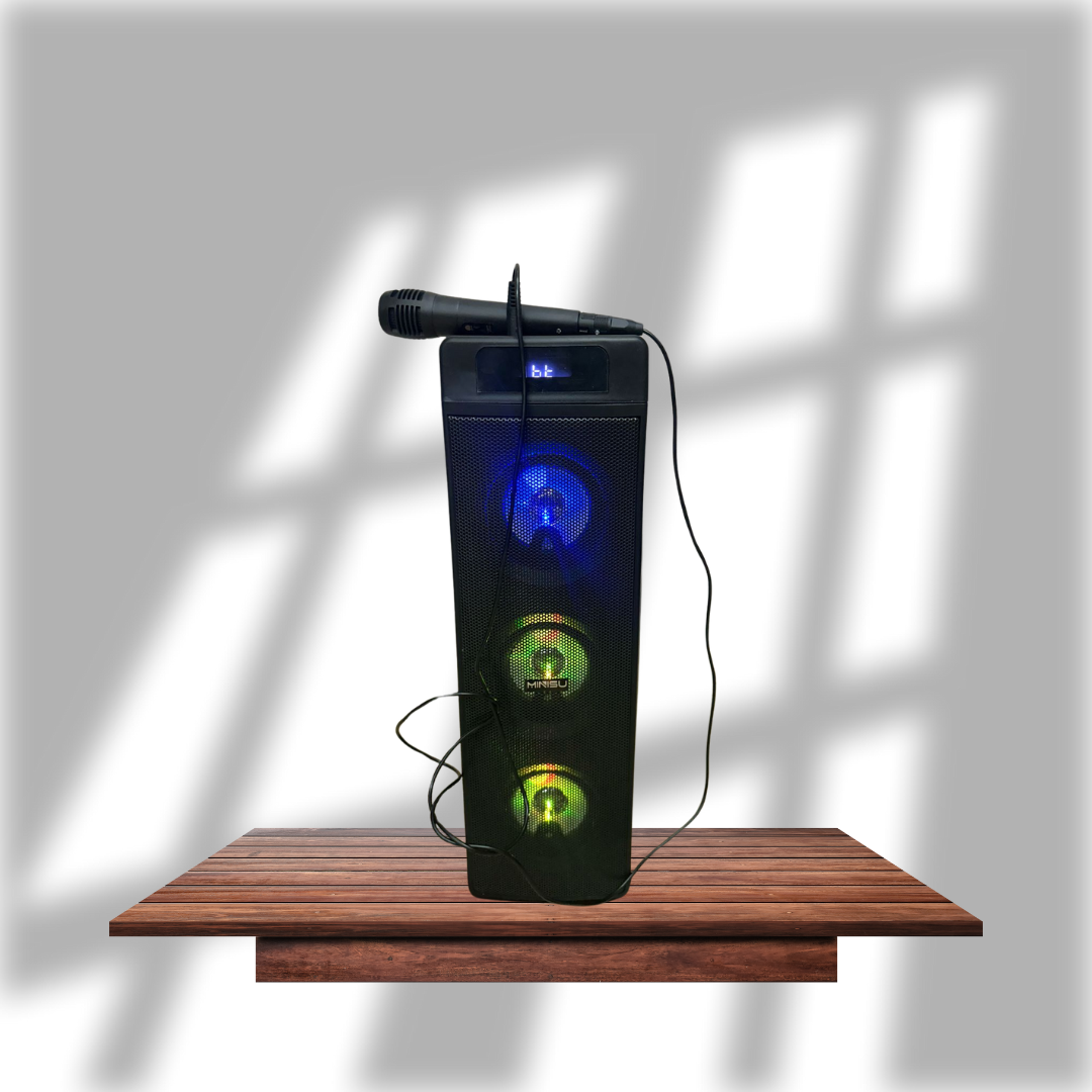 Party Bluetooth  Karaoke Speaker