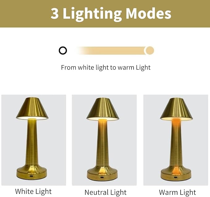 Modern LED Table Lamp