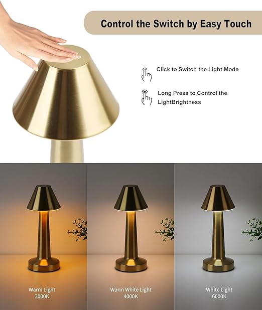 Modern LED Table Lamp