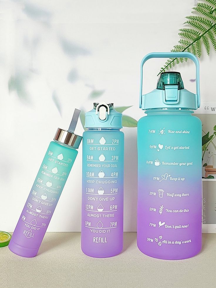 Motivational H2O Timeline Bottles