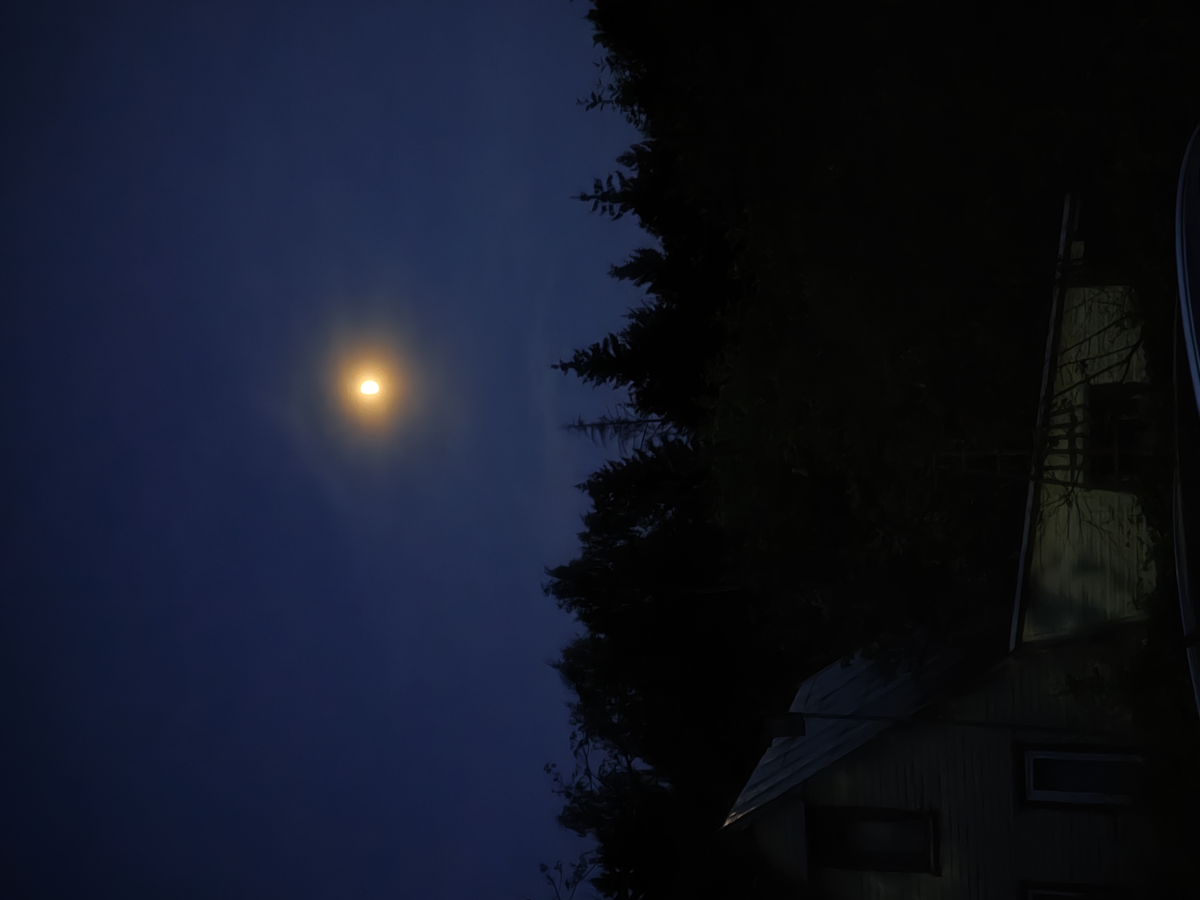  Tualetinis vanduo (EDT) „Moonlight“