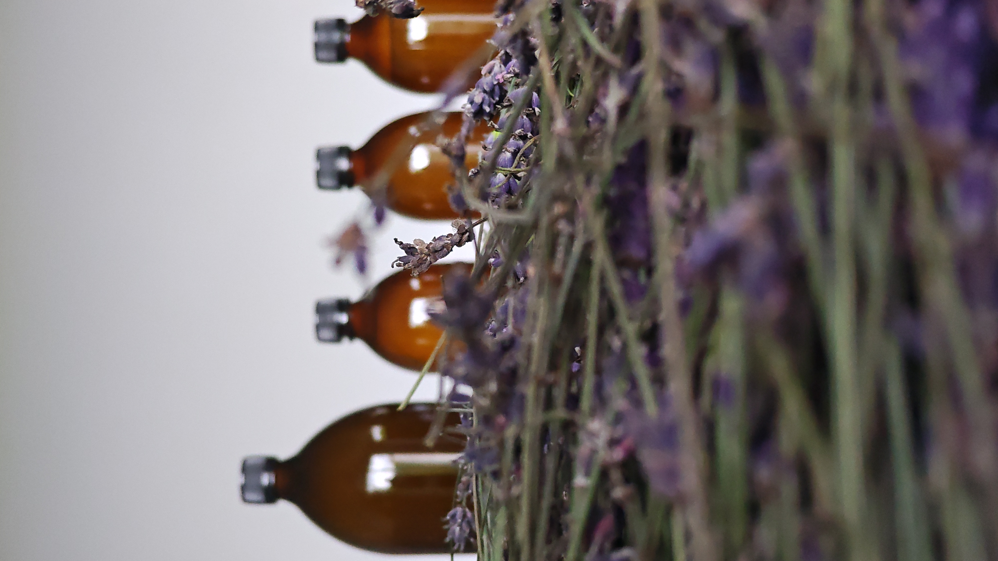 Lavender Hydrosol