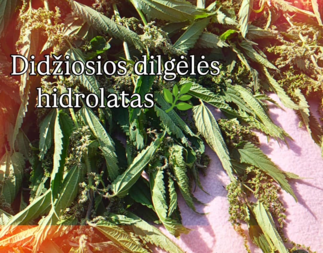 Didžiosios dilgėlės hidrolatas
