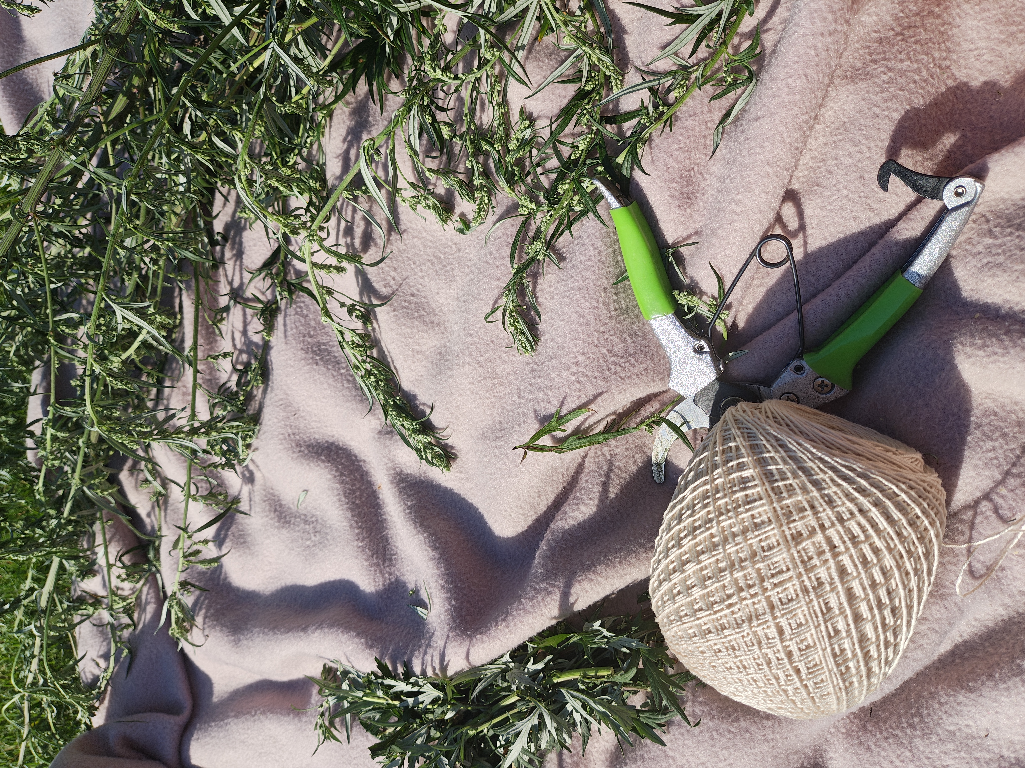 Hand-tied Mugwort Incense Bundles