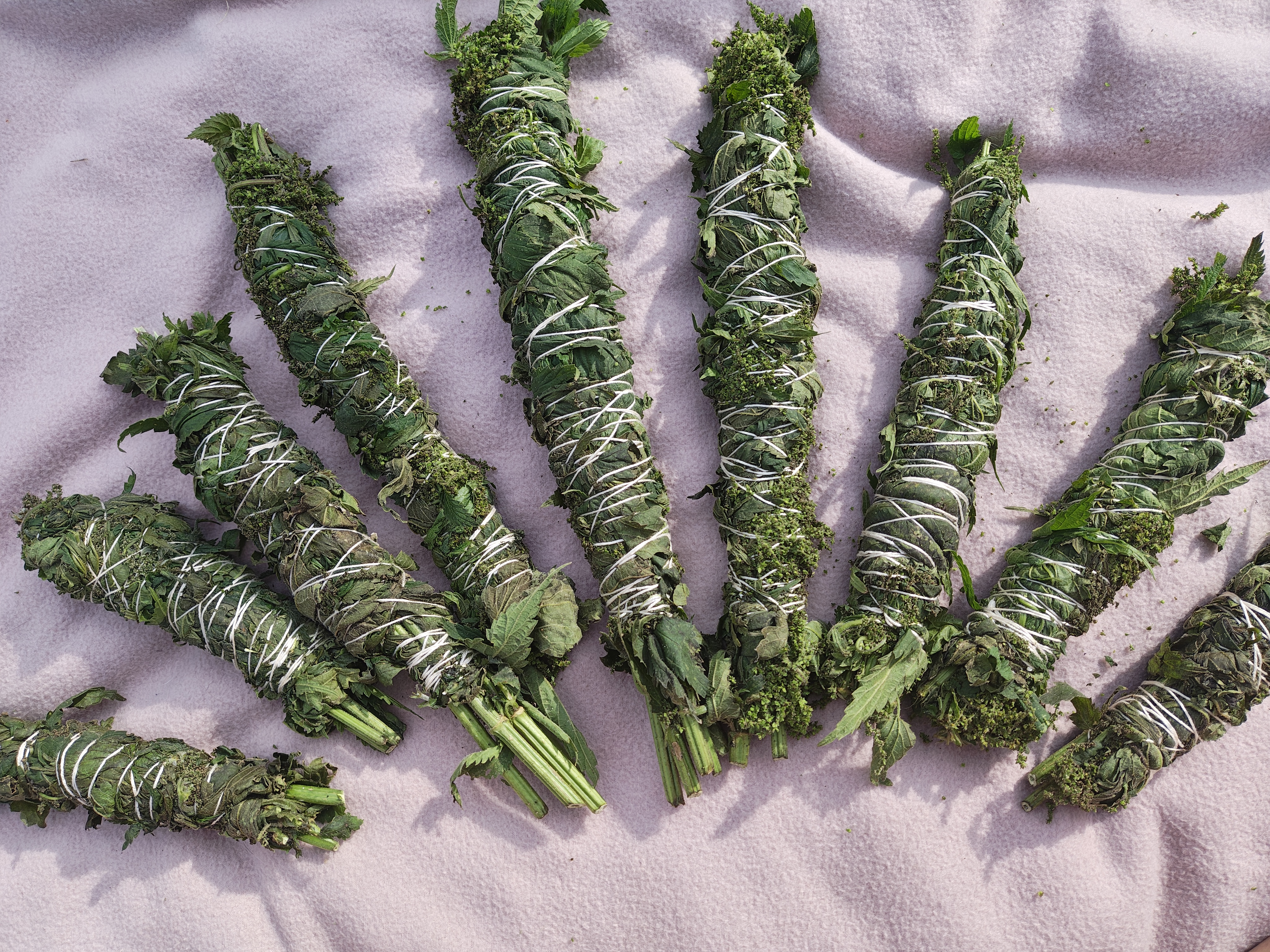 Stinging Nettle Incense