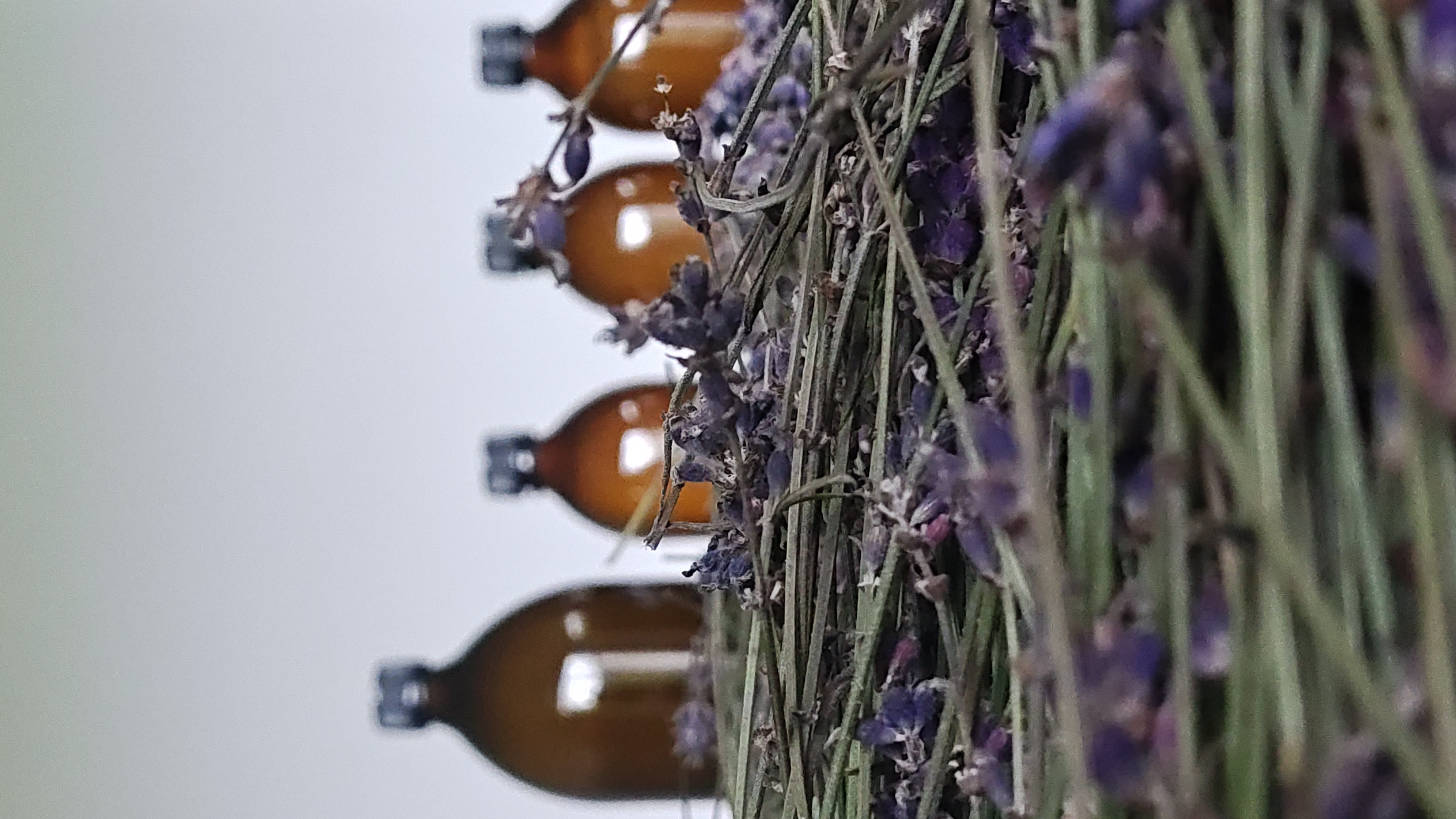 Lavender Hydrosol