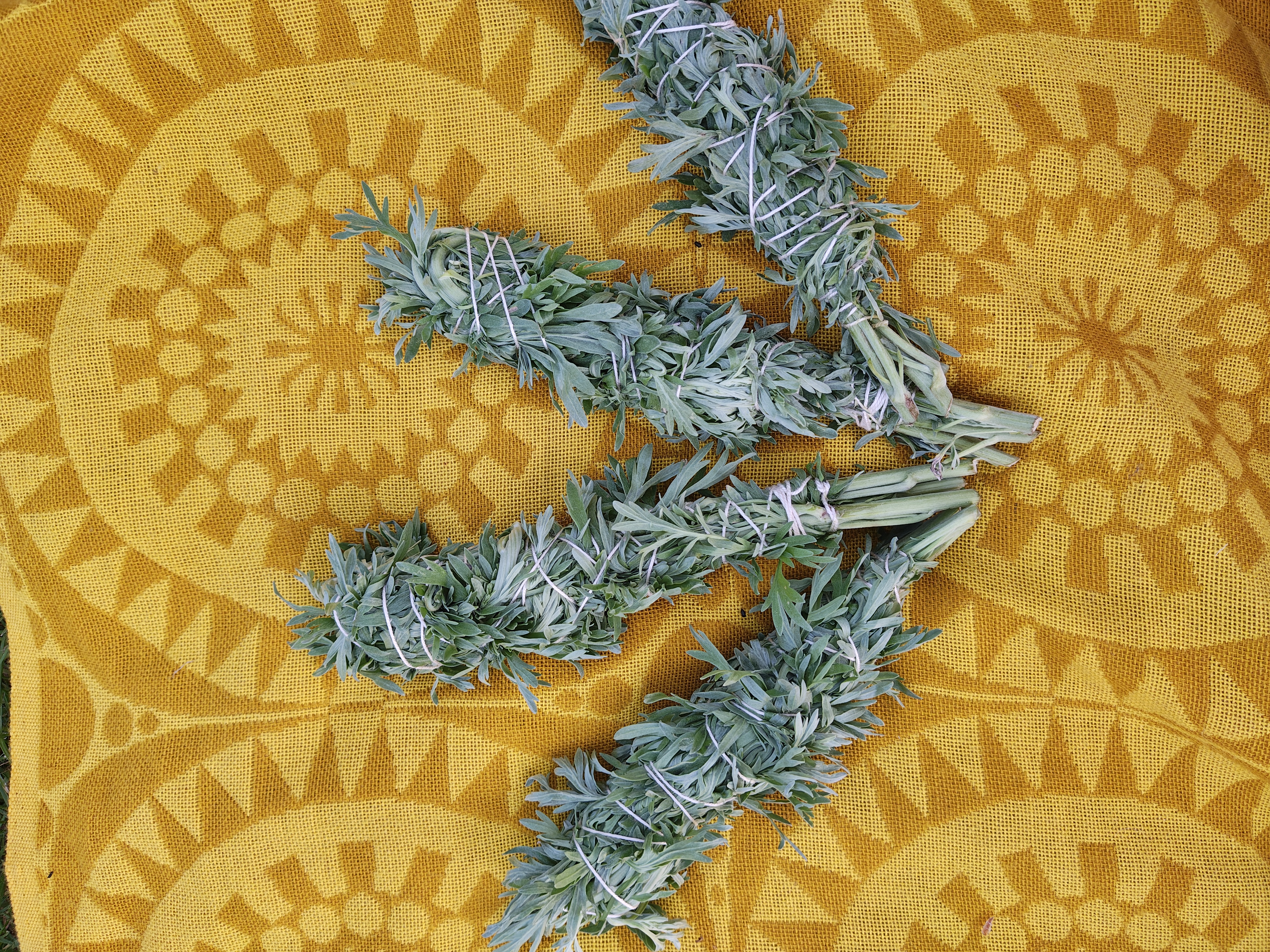 Wormwood (Artemisia absinthium) Incense Bundles