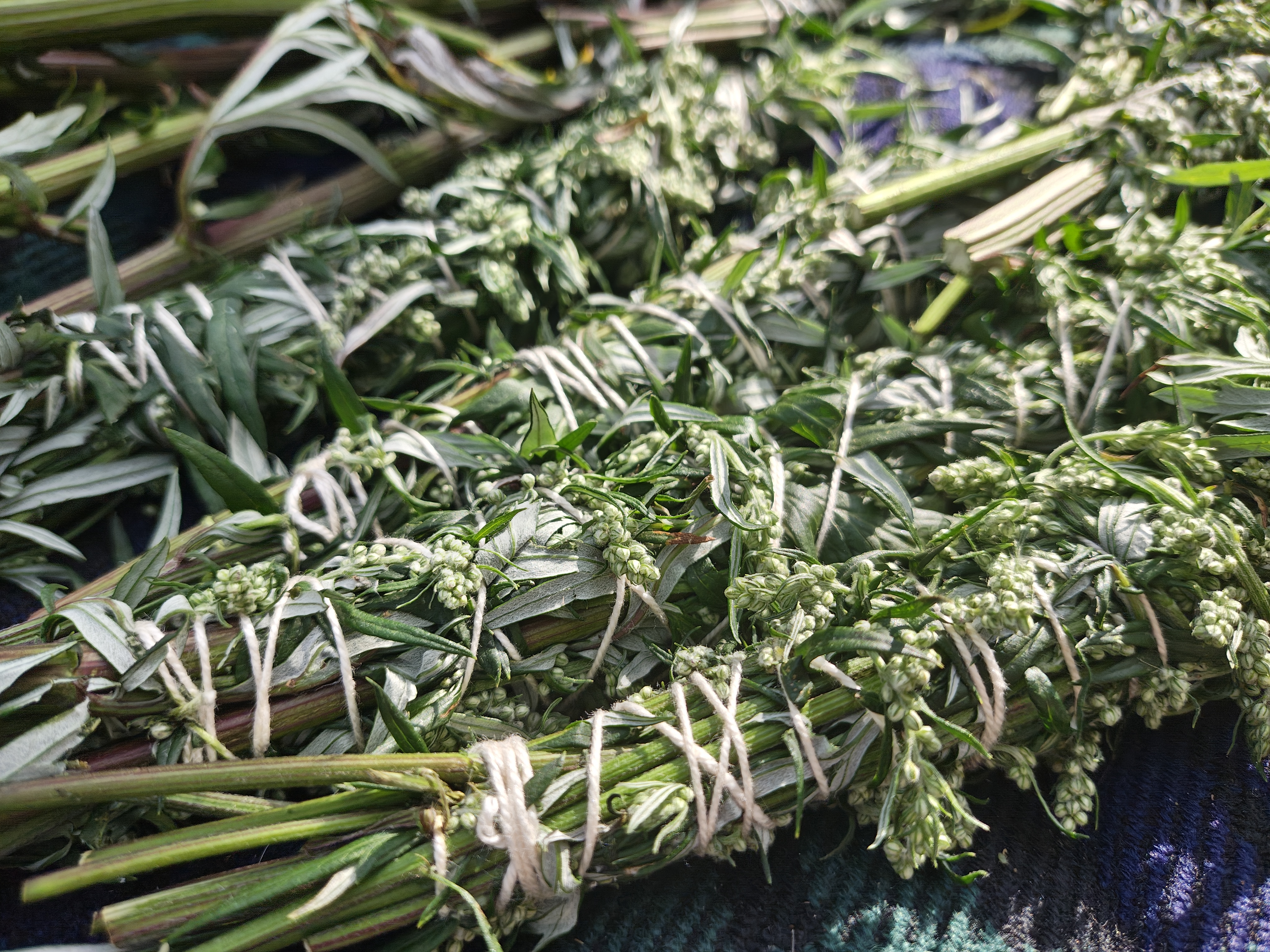 Hand-tied Mugwort Incense Bundles