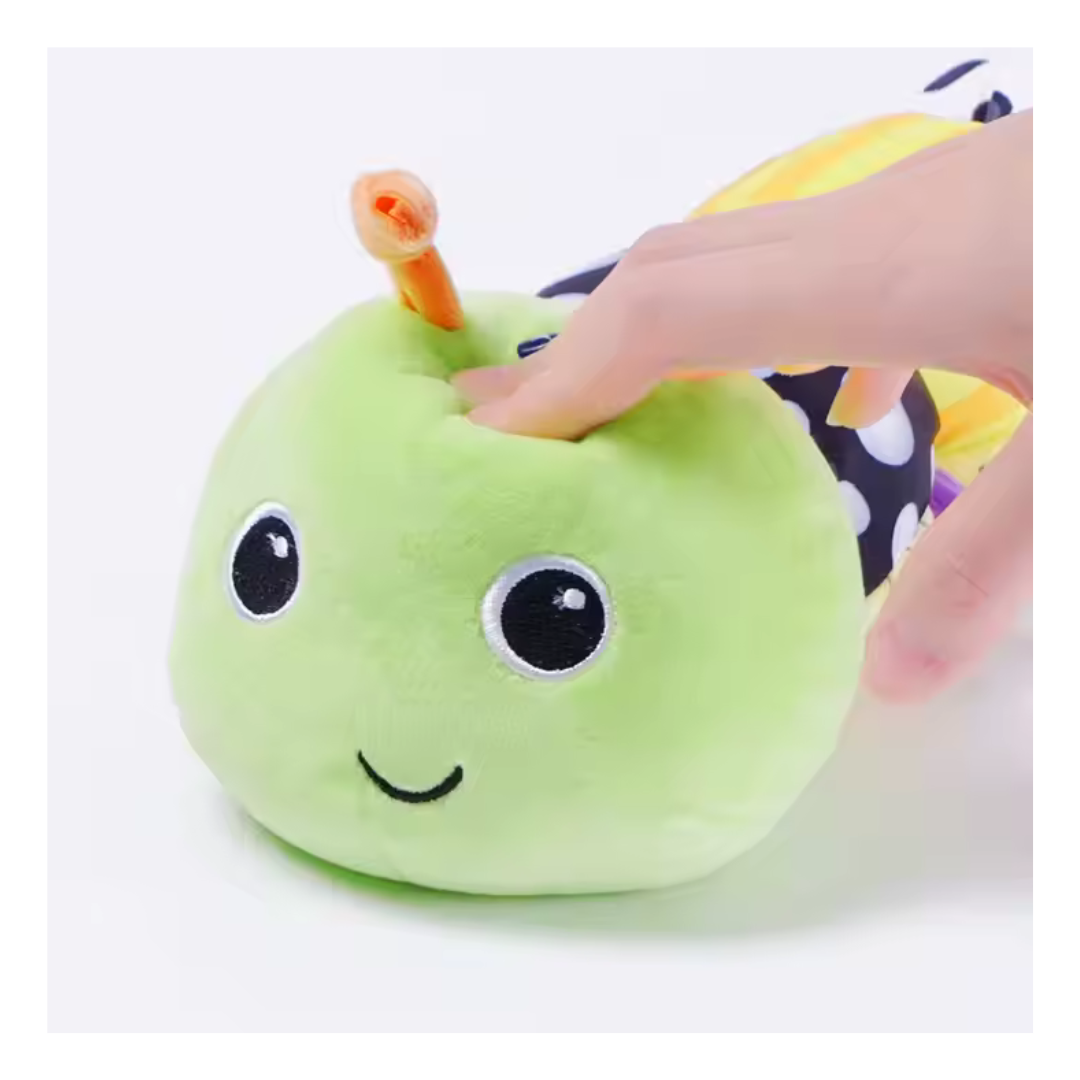 Sensory Caterpillar