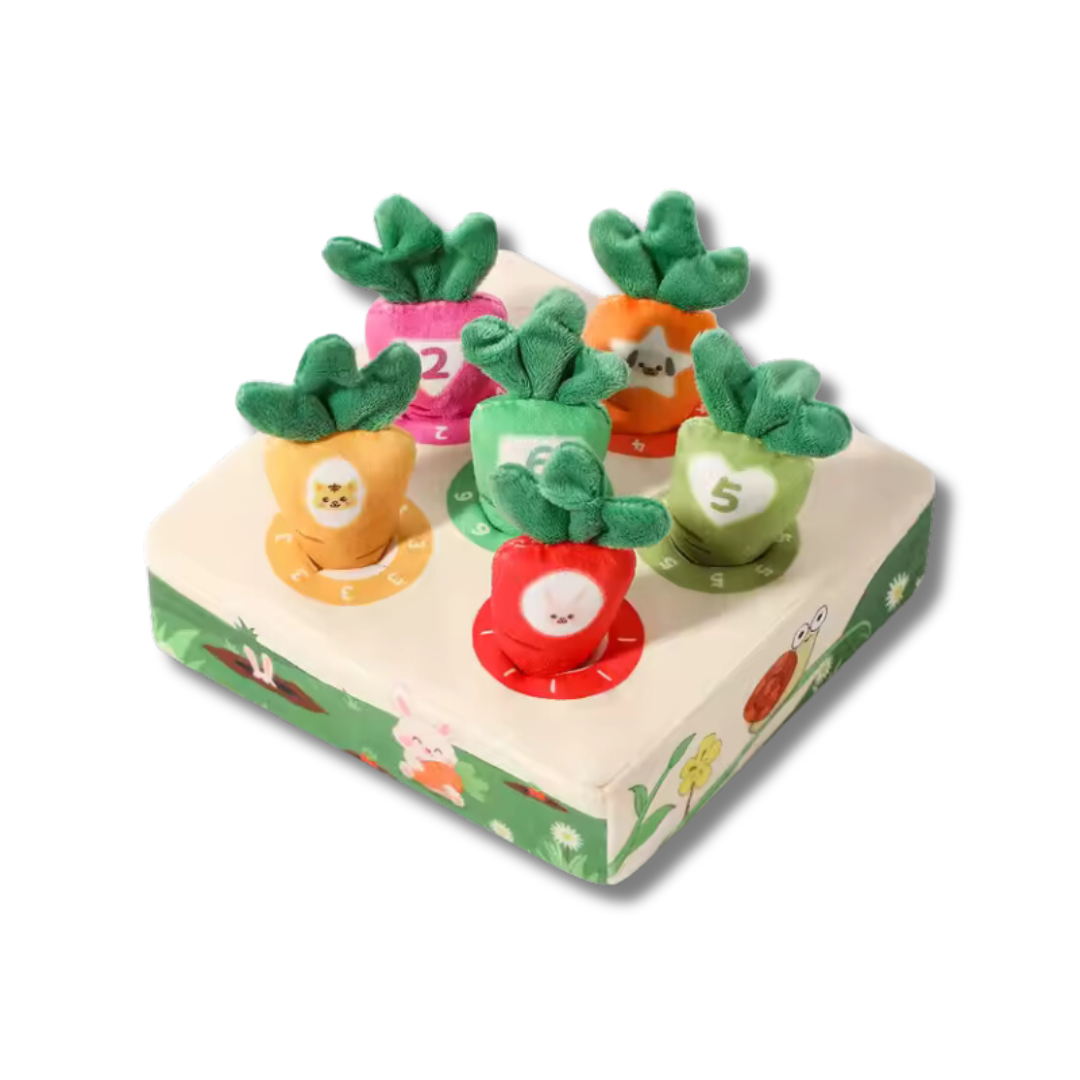 Carrots Pulling Toy