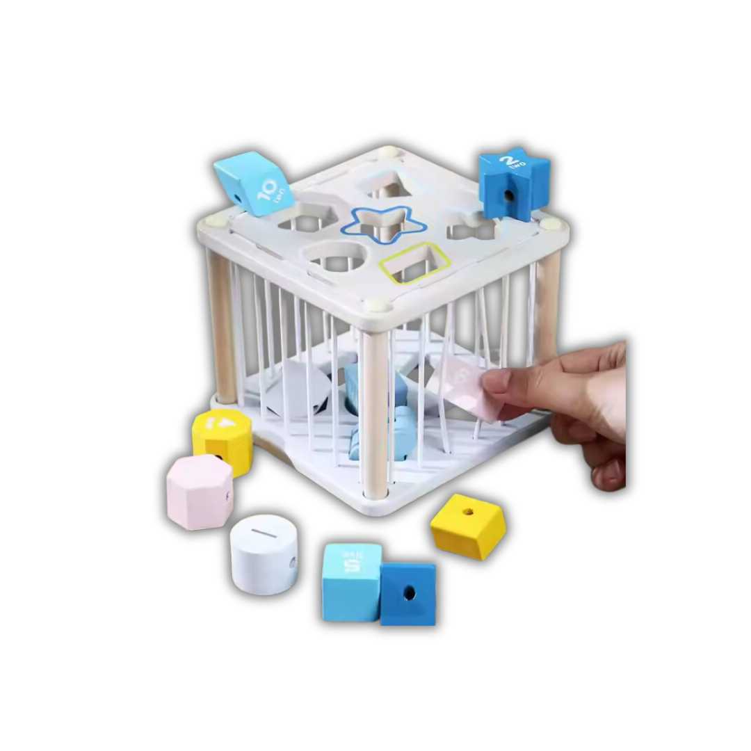 Shape Matching Toy
