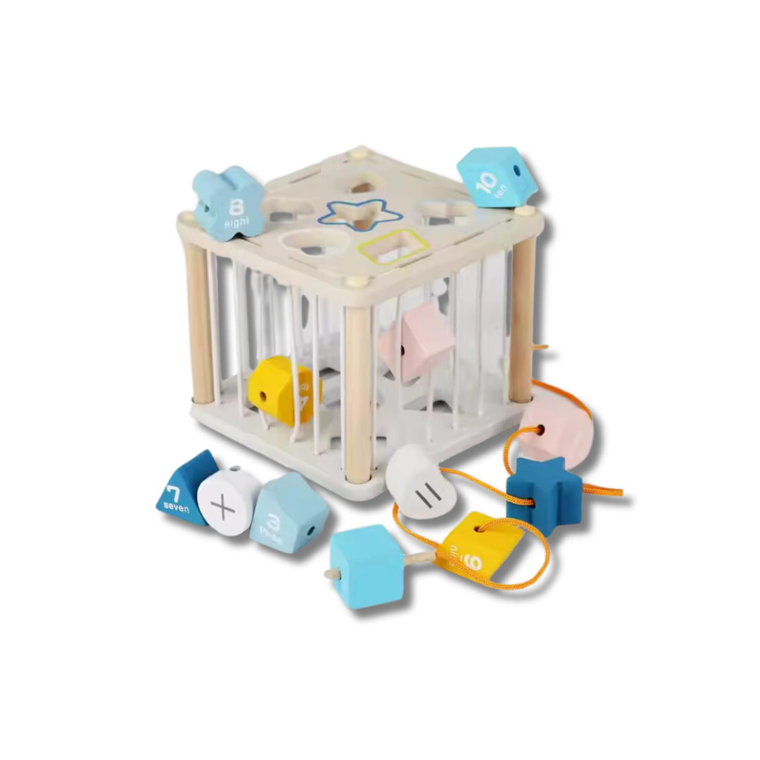 Shape Matching Toy