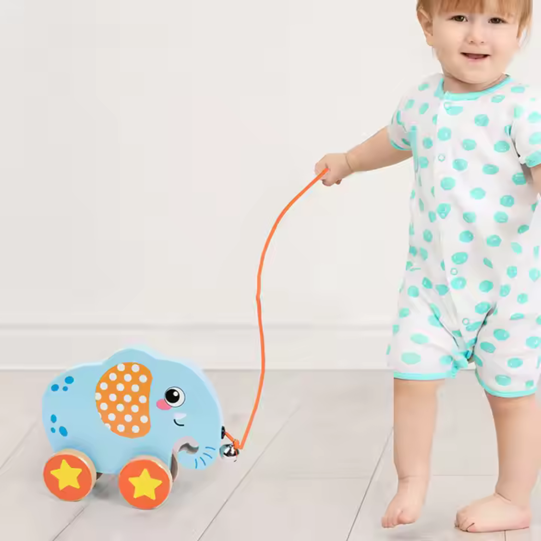 Pull Along Toy