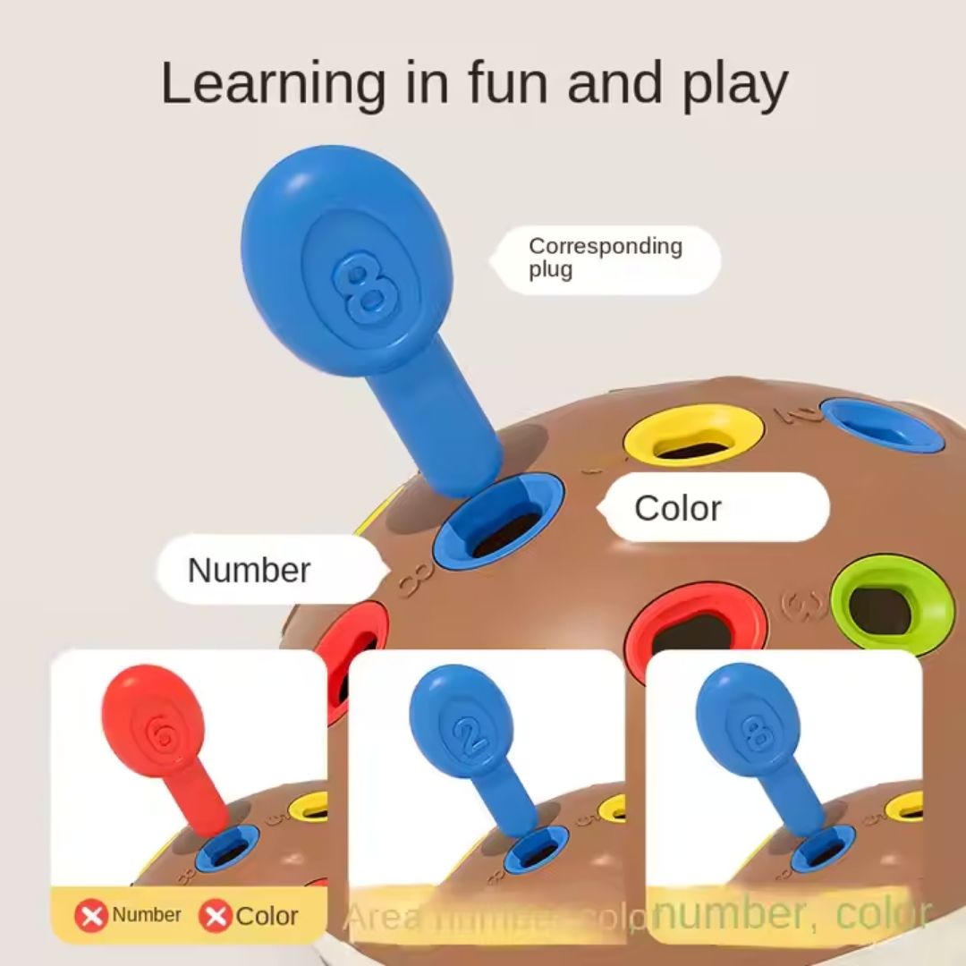 Educational Color and Number hedgehog Toy
