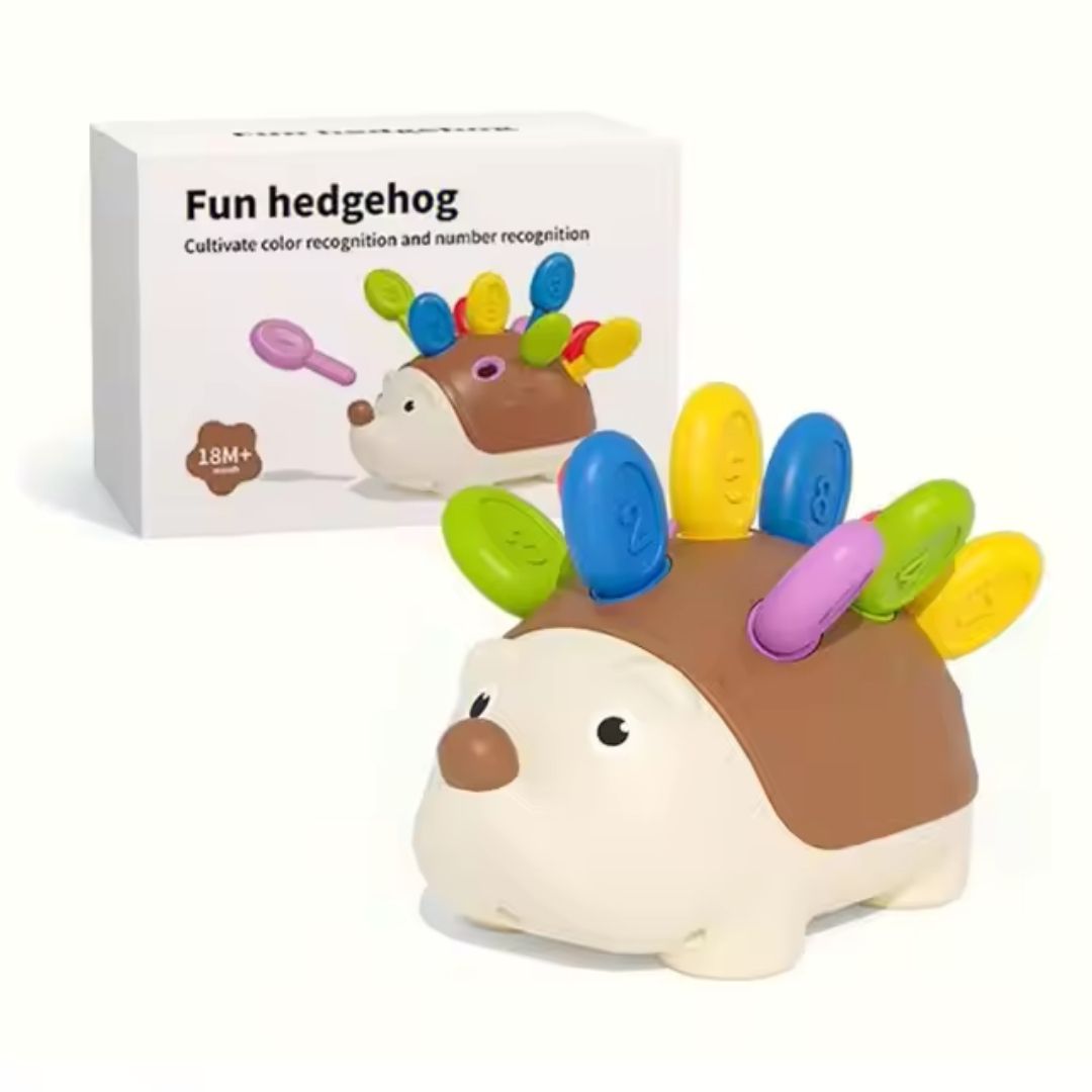 Educational Color and Number hedgehog Toy