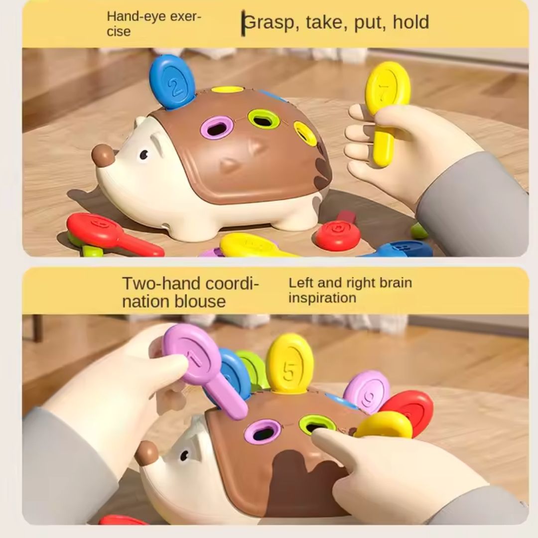 Educational Color and Number hedgehog Toy