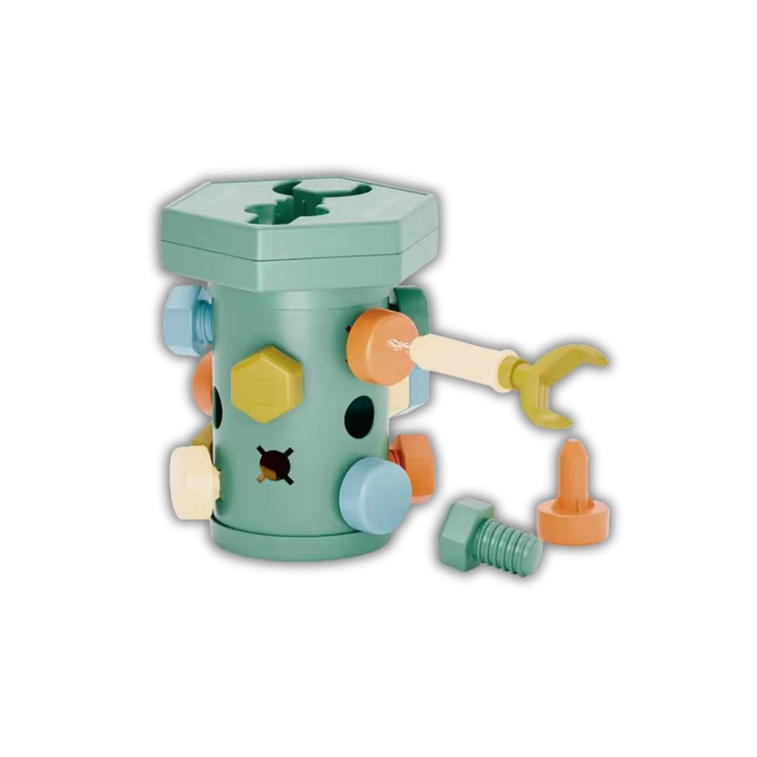 Educational Screw Toy