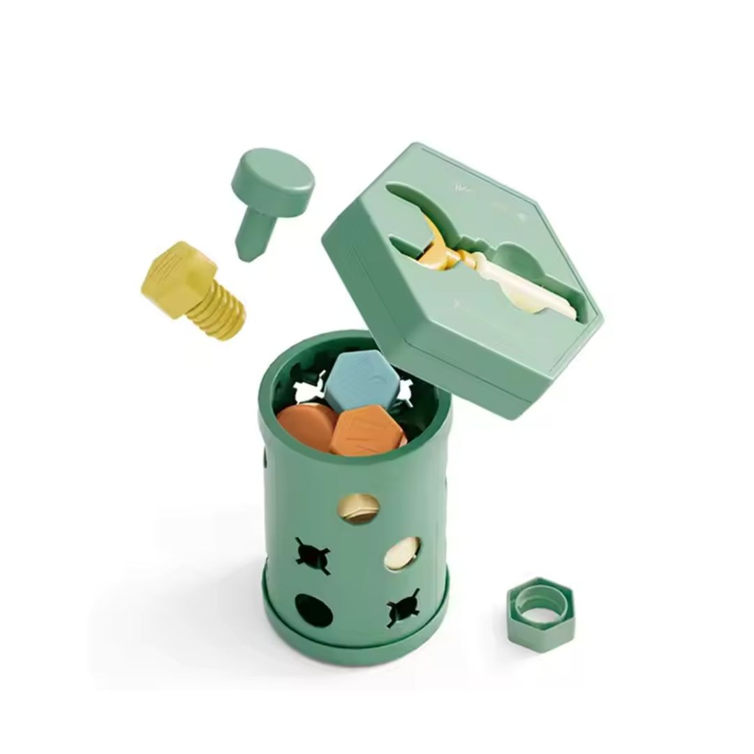 Educational  Screw Toy