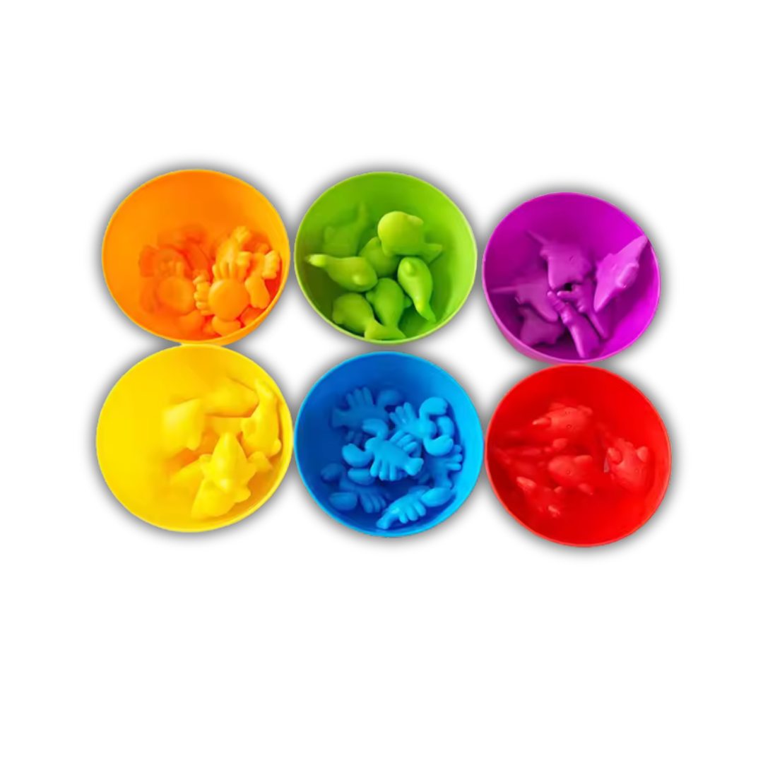 Color Sorting Toy Set