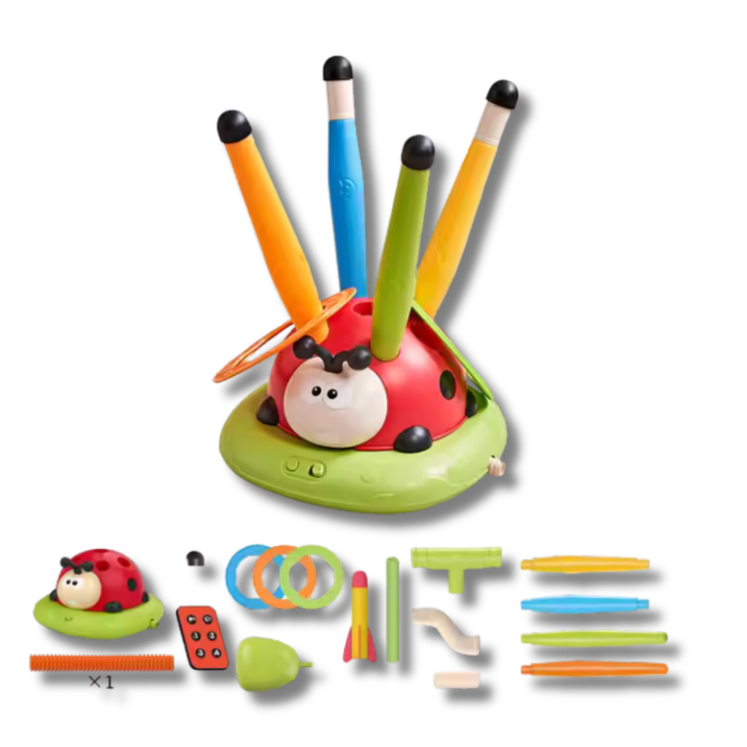 Ladybug 3 in 1
