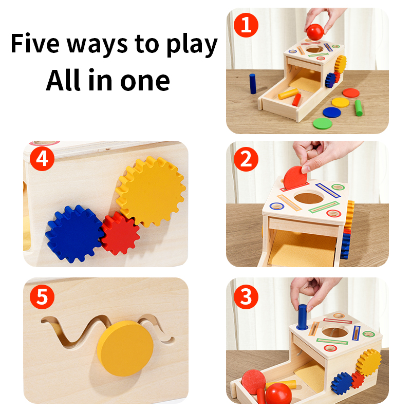 Wooden Montessori Shape Sorting Toy