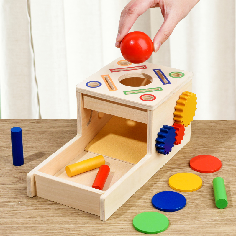 Wooden Montessori Shape Sorting Toy