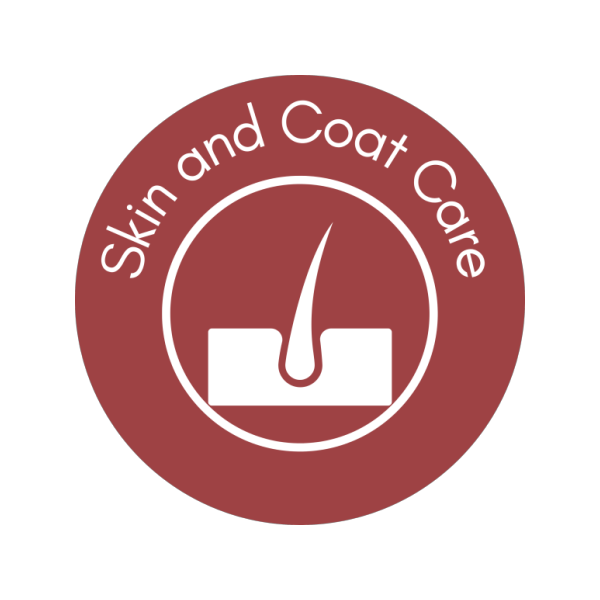 Jessdog Natural Chicken Feet