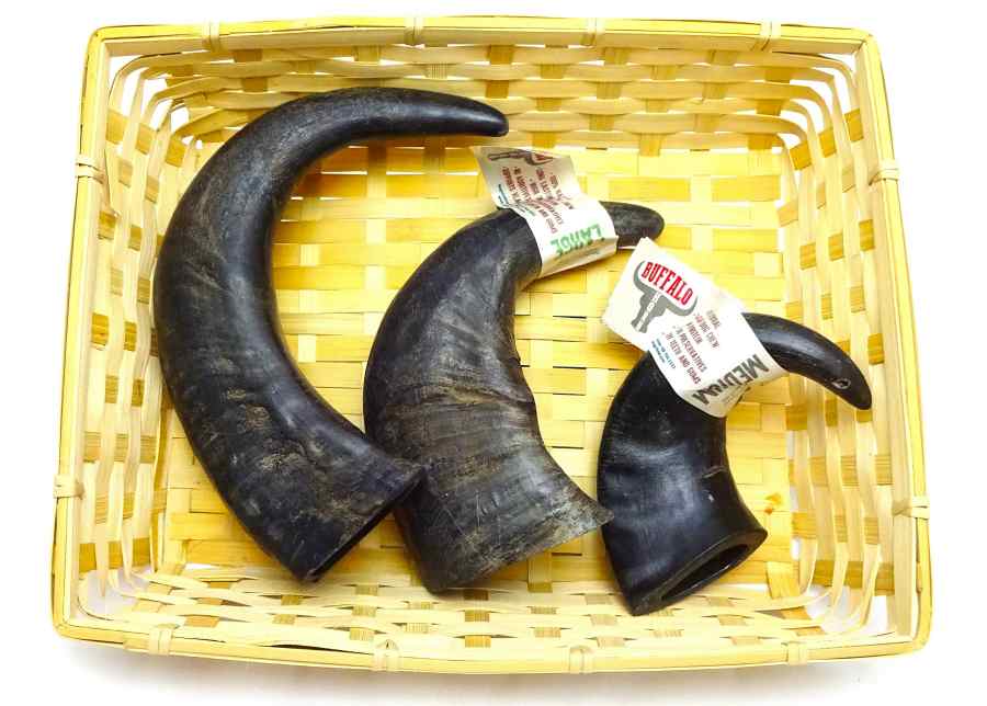 Buffalo Horn 