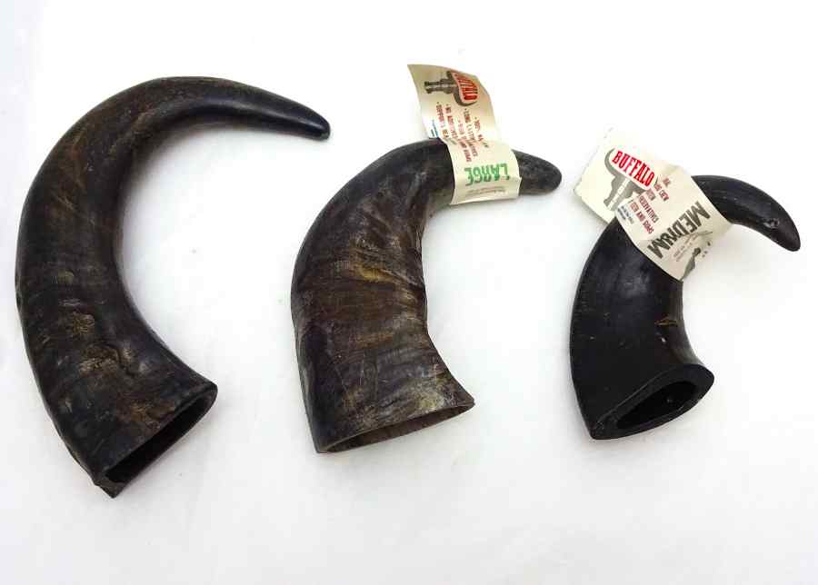Buffalo Horn 