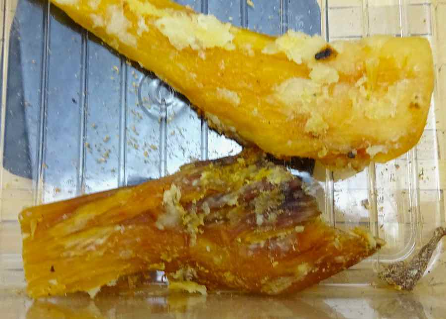 Jessdog Paddy Wack - Long Lasting Dog Treat