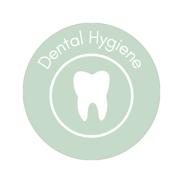 Jessdog Beef Trachea - 24cm Long