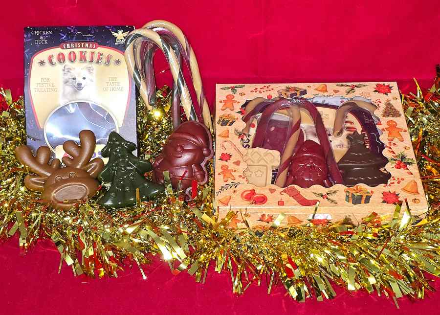 Antos Christmas Dog Treat Box 