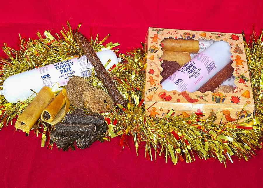 Jessdog Christmas Meaty Dog Treat Box