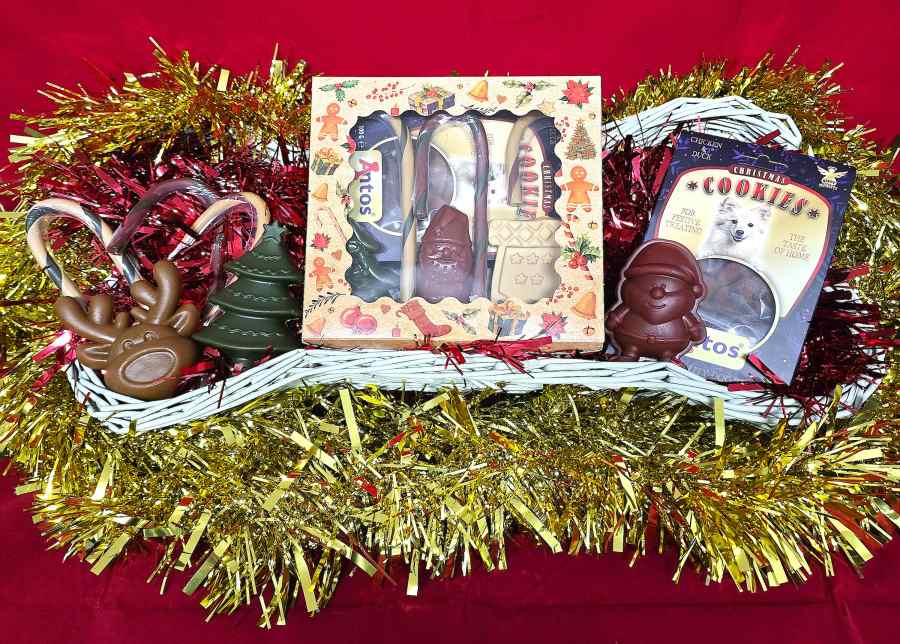 Antos Christmas Dog Treat Box