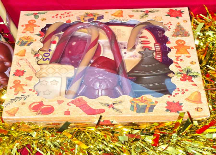 Antos Christmas Dog Treat Box 